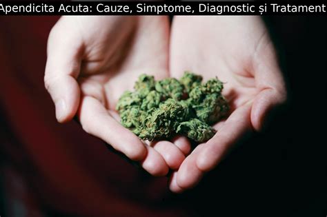 Apendicita Acuta: Cauze, Simptome, Diagnostic și。